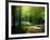 Track Leading Through Lanhydrock Beech Woodland with Bluebells in Spring, Cornwall, UK-Ross Hoddinott-Framed Photographic Print