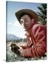 Track of the Cat by William A. Wellman with Robert Mitchum, 1954 (photo)-null-Stretched Canvas