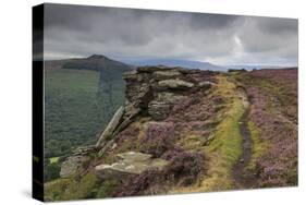 Track on Bamford Edge-Eleanor Scriven-Stretched Canvas