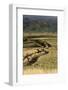 Track on Chimborazo Volcano-Guido Cozzi-Framed Photographic Print