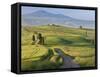Track, San Quirico D'Orcia, Val D'Orcia, Tuscany, Italy-Peter Adams-Framed Stretched Canvas