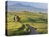Track, San Quirico D'Orcia, Val D'Orcia, Tuscany, Italy-Peter Adams-Stretched Canvas