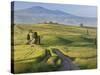Track, San Quirico D'Orcia, Val D'Orcia, Tuscany, Italy-Peter Adams-Stretched Canvas