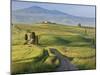 Track, San Quirico D'Orcia, Val D'Orcia, Tuscany, Italy-Peter Adams-Mounted Photographic Print