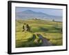 Track, San Quirico D'Orcia, Val D'Orcia, Tuscany, Italy-Peter Adams-Framed Photographic Print