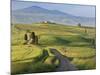 Track, San Quirico D'Orcia, Val D'Orcia, Tuscany, Italy-Peter Adams-Mounted Photographic Print