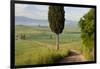 Track, San Quirico d'Orcia, Val d'Orcia, Tuscany, Italy-Peter Adams-Framed Photographic Print