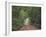 Track through dense tropical rainforest, Bobiri Butterfly Reserve, Ashanti Region, Ghana-Neil Bowman-Framed Photographic Print