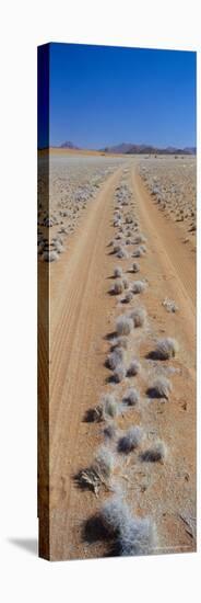 Track Through Sand with Scrub, Namib Road, Namib Naukluft Park, Namib Desert, Namibia, Africa-Lee Frost-Stretched Canvas