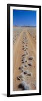 Track Through Sand with Scrub, Namib Road, Namib Naukluft Park, Namib Desert, Namibia, Africa-Lee Frost-Framed Photographic Print