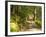 Track to Kondalilla Falls, Kondalilla National Park, Sunshine Coast, Queensland, Australia-David Wall-Framed Photographic Print