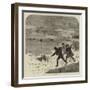 Tracking Rabbits Through the Snow-Harrison William Weir-Framed Giclee Print