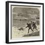 Tracking Rabbits Through the Snow-Harrison William Weir-Framed Giclee Print