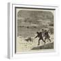 Tracking Rabbits Through the Snow-Harrison William Weir-Framed Giclee Print