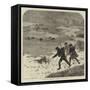 Tracking Rabbits Through the Snow-Harrison William Weir-Framed Stretched Canvas