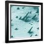 Tracks from cosmic rays, magnified 800 times-Science Source-Framed Giclee Print