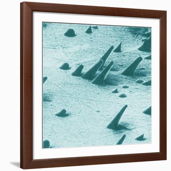 Tracks from cosmic rays, magnified 800 times-Science Source-Framed Giclee Print