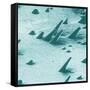 Tracks from cosmic rays, magnified 800 times-Science Source-Framed Stretched Canvas