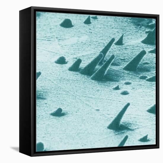 Tracks from cosmic rays, magnified 800 times-Science Source-Framed Stretched Canvas