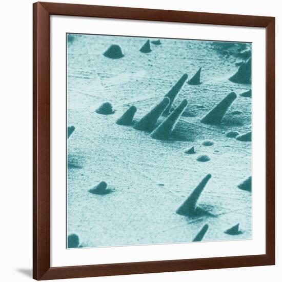 Tracks from cosmic rays, magnified 800 times-Science Source-Framed Giclee Print