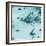 Tracks from cosmic rays, magnified 800 times-Science Source-Framed Giclee Print