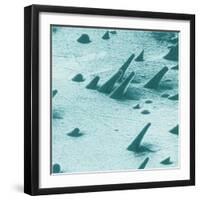 Tracks from cosmic rays, magnified 800 times-Science Source-Framed Giclee Print