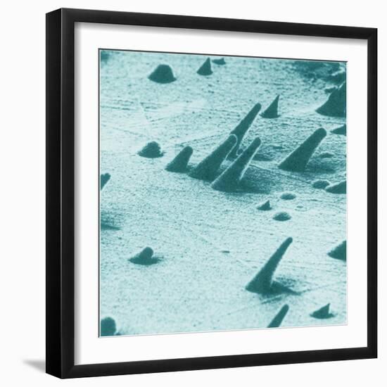 Tracks from cosmic rays, magnified 800 times-Science Source-Framed Giclee Print