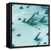 Tracks from cosmic rays, magnified 800 times-Science Source-Framed Stretched Canvas