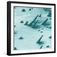 Tracks from cosmic rays, magnified 800 times-Science Source-Framed Giclee Print