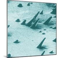 Tracks from cosmic rays, magnified 800 times-Science Source-Mounted Giclee Print