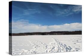 Tracks In Snow-Anthony Paladino-Stretched Canvas