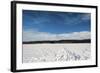 Tracks In Snow-Anthony Paladino-Framed Giclee Print