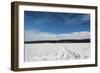 Tracks In Snow-Anthony Paladino-Framed Giclee Print