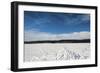 Tracks In Snow-Anthony Paladino-Framed Giclee Print