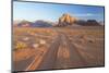 Tracks in the Desert, Wadi Rum, Jordan-Peter Adams-Mounted Photographic Print