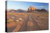 Tracks in the Desert, Wadi Rum, Jordan-Peter Adams-Stretched Canvas