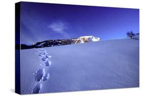 Tracks in the Snow Leading Up a Hill with a Mountain in the Back-Sabine Jacobs-Stretched Canvas