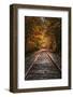 Tracks Into Fall, New Hampshire, New England Autumn Railroad-Vincent James-Framed Photographic Print