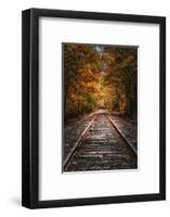 Tracks Into Fall, New Hampshire, New England Autumn Railroad-Vincent James-Framed Photographic Print