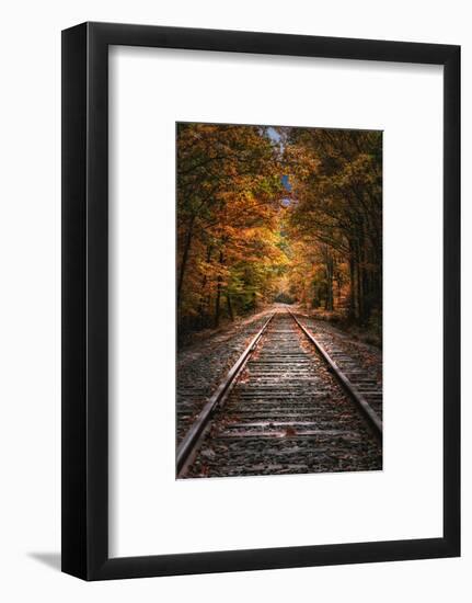 Tracks Into Fall, New Hampshire, New England Autumn Railroad-Vincent James-Framed Photographic Print