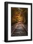 Tracks Into Fall, New Hampshire, New England Autumn Railroad-Vincent James-Framed Photographic Print