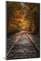 Tracks Into Fall, New Hampshire, New England Autumn Railroad-Vincent James-Mounted Photographic Print