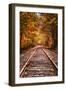 Tracks Into Fall, White Mountains New Hampshire, New England in Autumn-Vincent James-Framed Premium Photographic Print