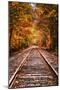 Tracks Into Fall, White Mountains New Hampshire, New England in Autumn-Vincent James-Mounted Premium Photographic Print