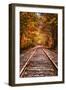 Tracks Into Fall, White Mountains New Hampshire, New England in Autumn-Vincent James-Framed Photographic Print