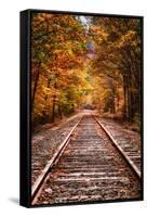 Tracks Into Fall, White Mountains New Hampshire, New England in Autumn-Vincent James-Framed Stretched Canvas