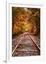 Tracks Into Fall, White Mountains New Hampshire, New England in Autumn-Vincent James-Framed Photographic Print