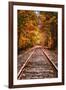 Tracks Into Fall, White Mountains New Hampshire, New England in Autumn-Vincent James-Framed Photographic Print