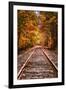 Tracks Into Fall, White Mountains New Hampshire, New England in Autumn-Vincent James-Framed Photographic Print