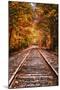 Tracks Into Fall, White Mountains New Hampshire, New England in Autumn-Vincent James-Mounted Photographic Print